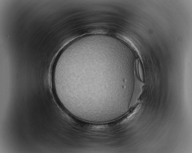 X0000092270843200710121339