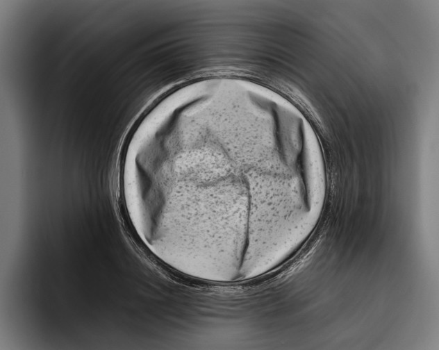 X0000092270844200710121339