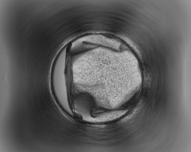 X0000092270845200710121339
