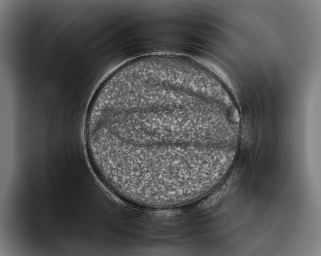 X0000092270847200710121339