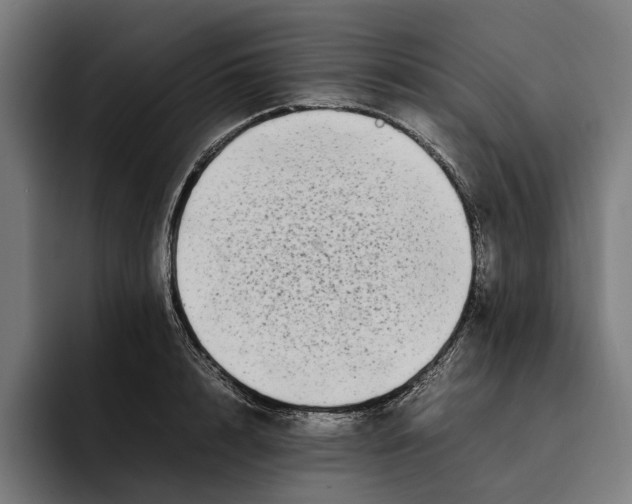 X0000092270848200710121339