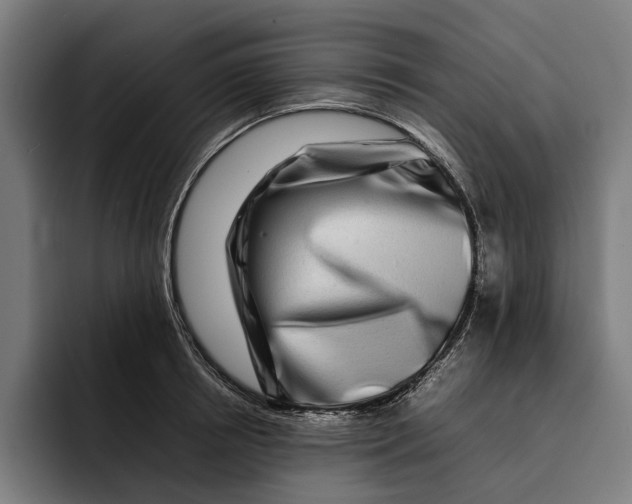 X0000092270850200710121339