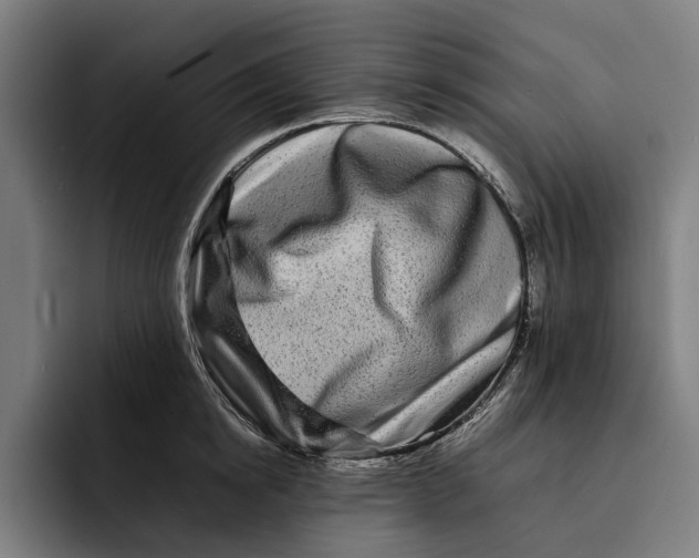 X0000092270854200710121339
