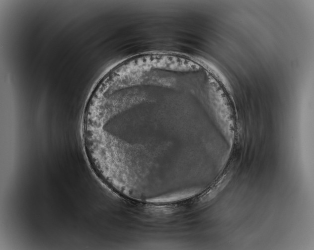 X0000092270855200710121339