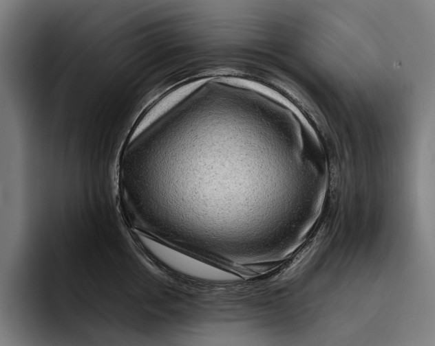 X0000092270858200710121339