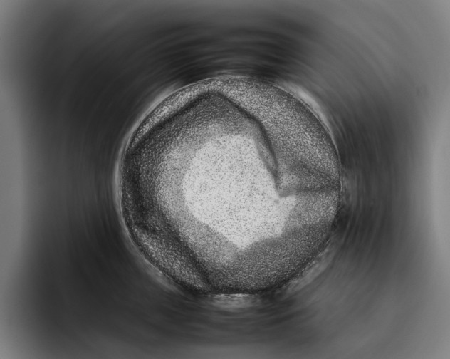 X0000092270859200710121339