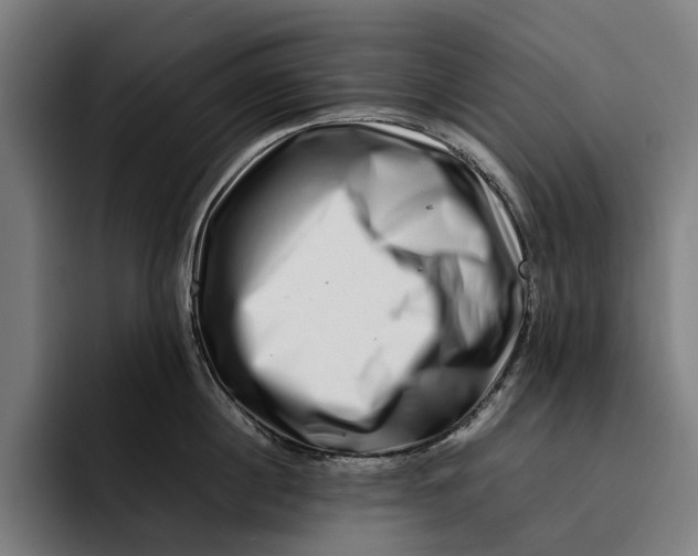 X0000092270860200710121339