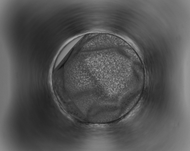 X0000092270862200710121339