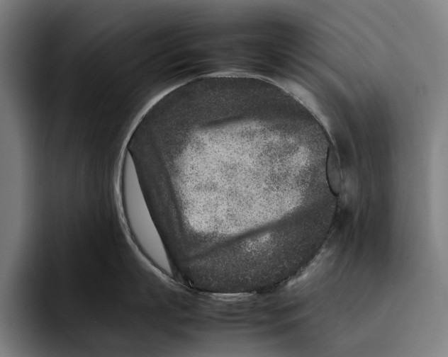 X0000092270863200710121339