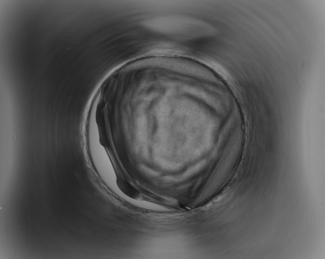 X0000092270864200710121339