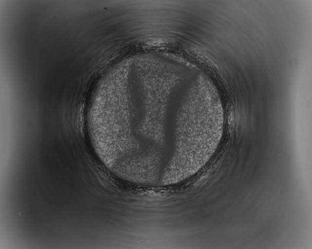 X0000092270868200710121338