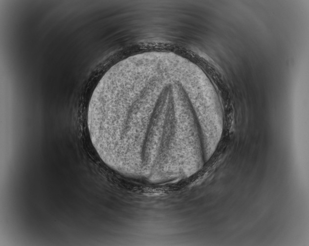 X0000092270870200710121338