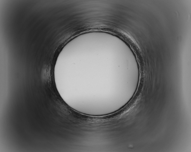X0000092270873200710121338
