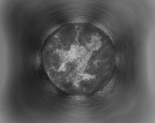X0000092270874200710121338