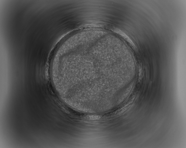 X0000092270878200710121338