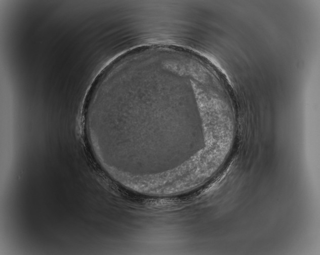 X0000092270879200710121338