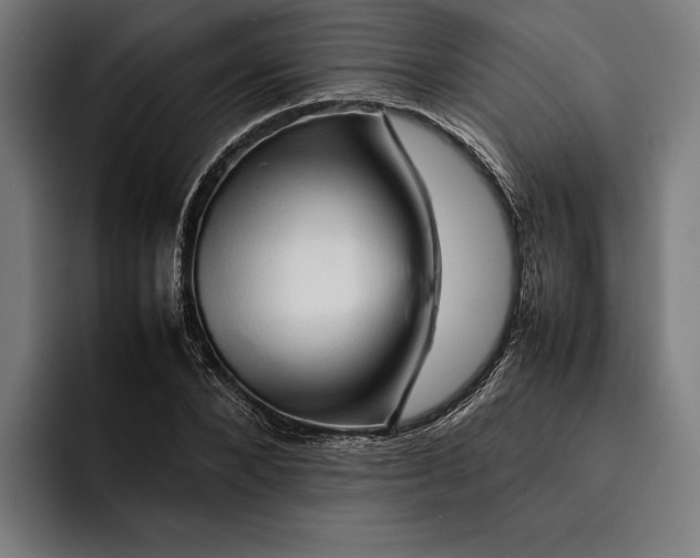 X0000092270880200710121338