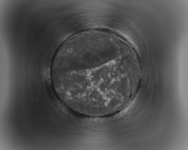 X0000092270881200710121338