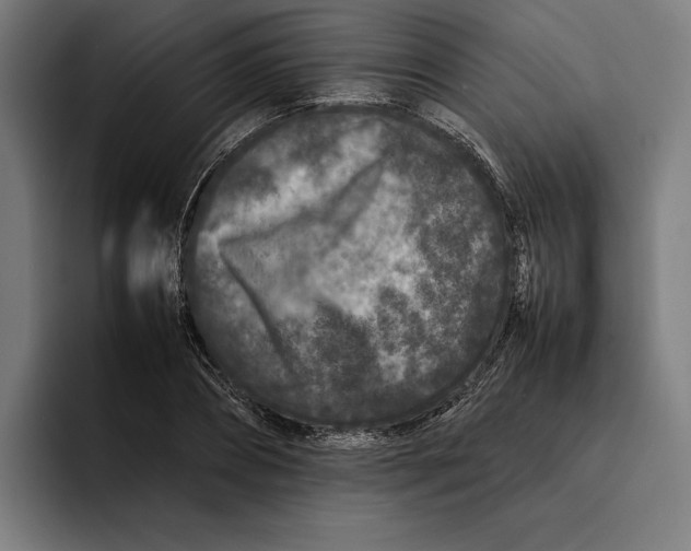 X0000092270882200710121338