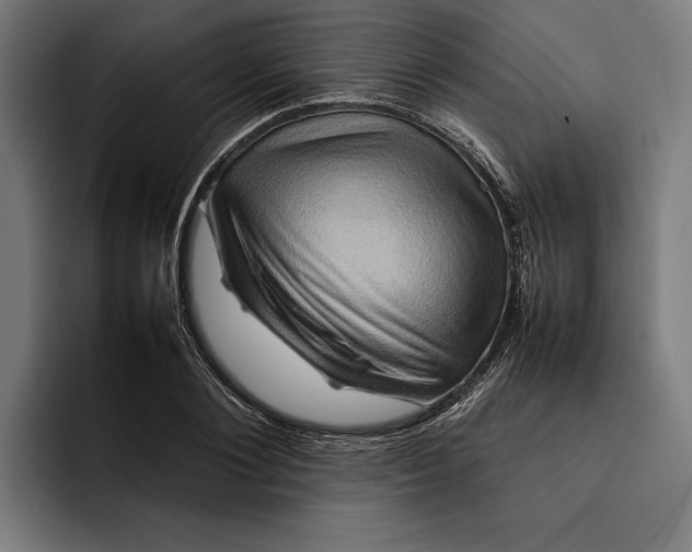 X0000092270884200710121338