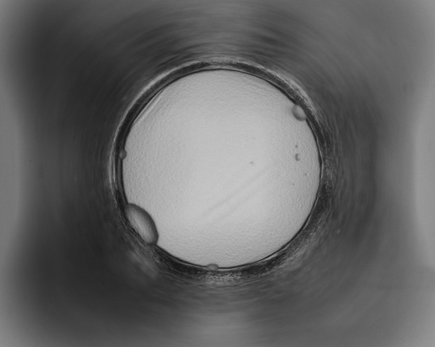 X0000092270887200710121338