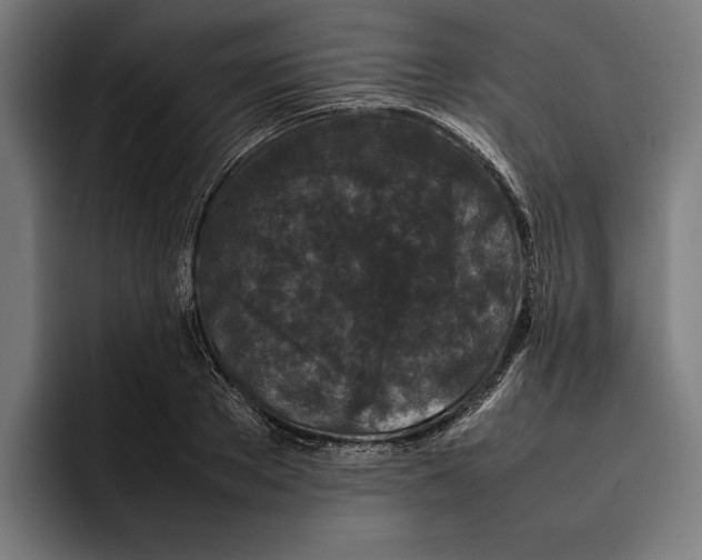 X0000092270889200710121338