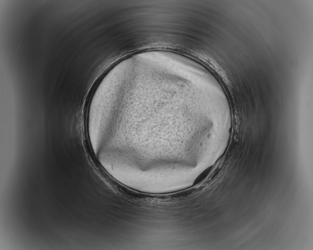 X0000092270890200710121338