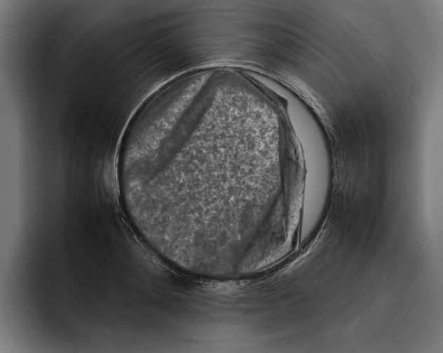 X0000092270892200710121338