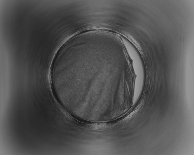 X0000092270893200710121338