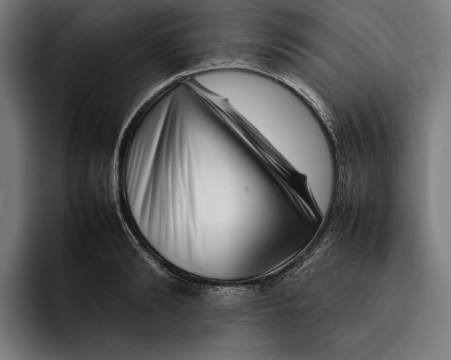 X0000092270894200710121338