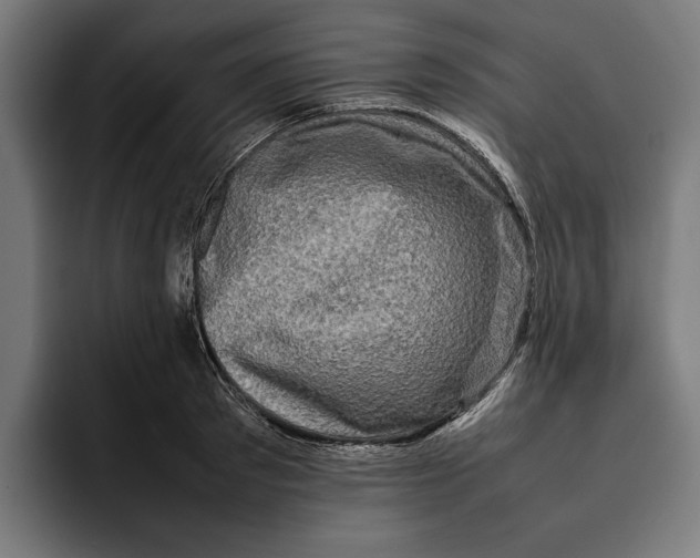 X0000092270897200710121338