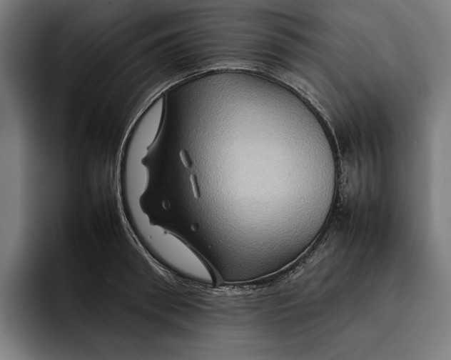 X0000092270898200710121338