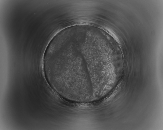 X0000092270899200710121338