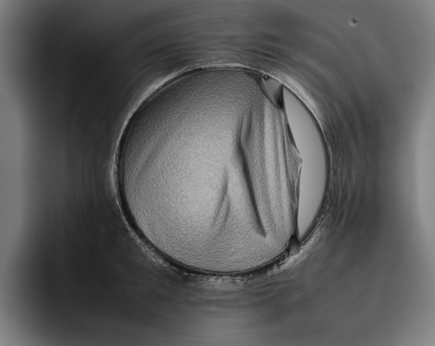 X0000092270901200710121338