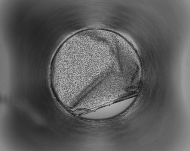 X0000092270903200710121338