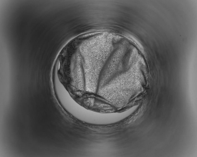X0000092270907200710121338
