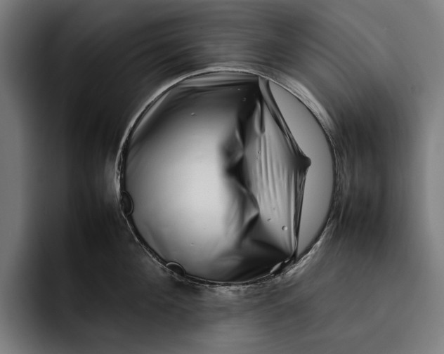 X0000092270908200710121338