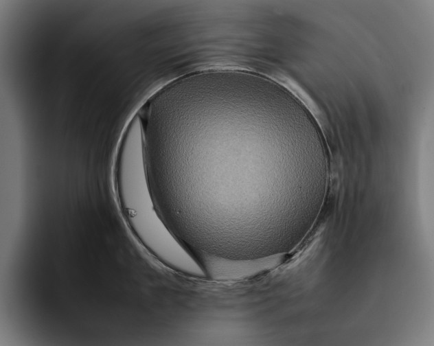 X0000092270909200710121338