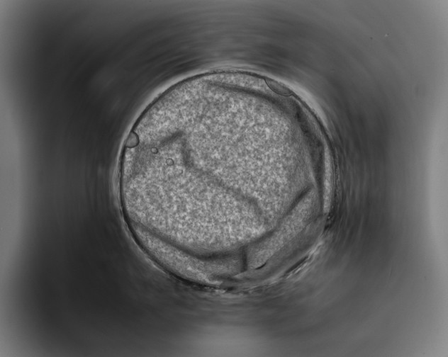 X0000092270911200710121338