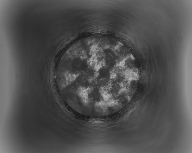 X0000092270913200710121337