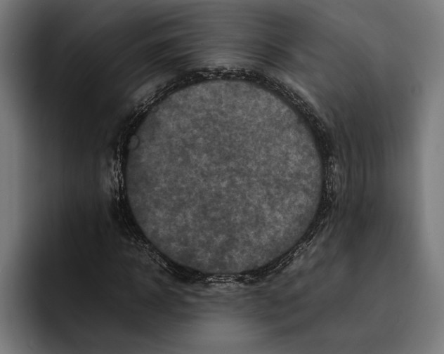 X0000092270918200710121337