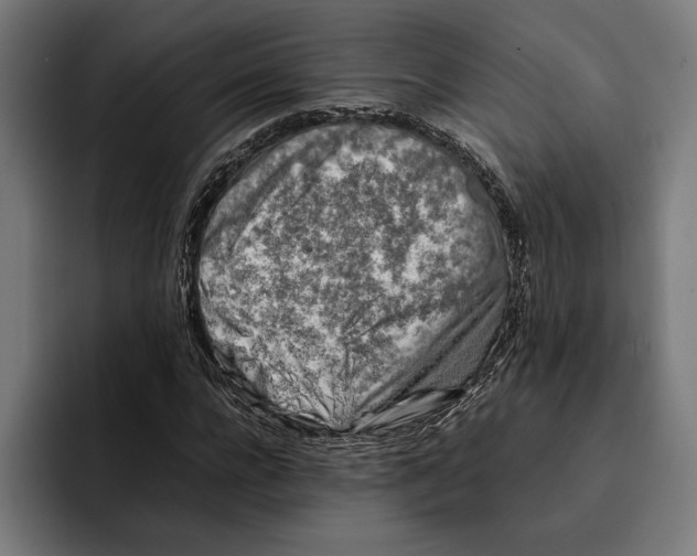 X0000092270920200710121337