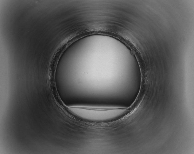 X0000092270922200710121337