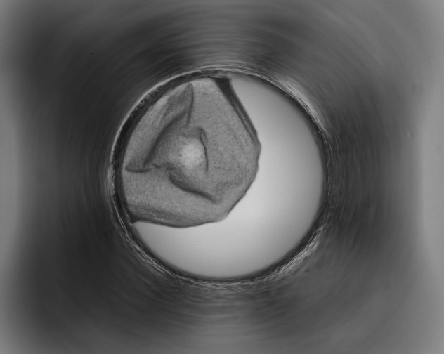 X0000092270924200710121337