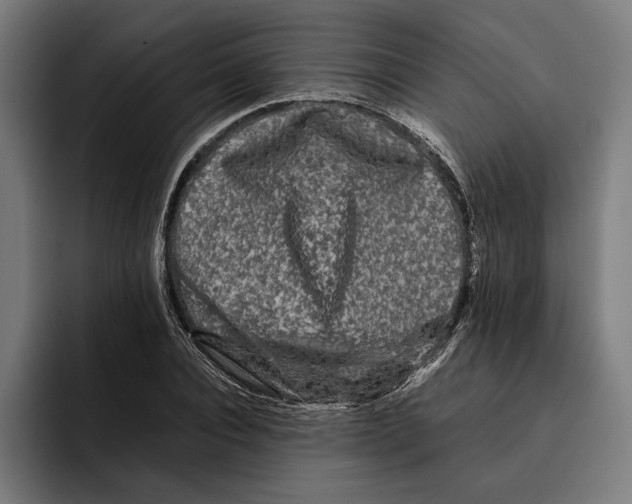 X0000092270928200710121337