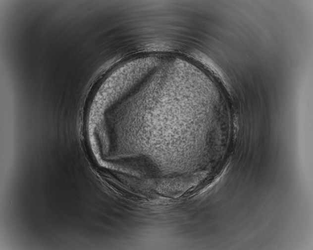 X0000092270930200710121337