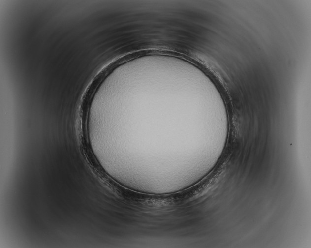 X0000092270931200710121338