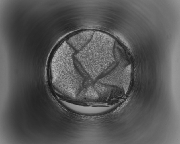 X0000092270932200710121338