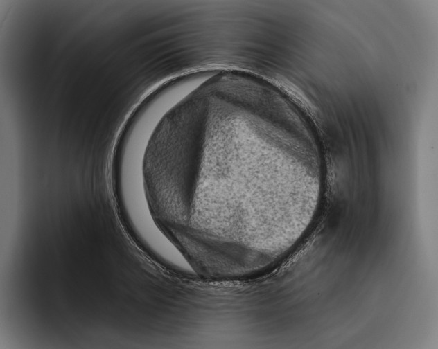 X0000092270934200710121338