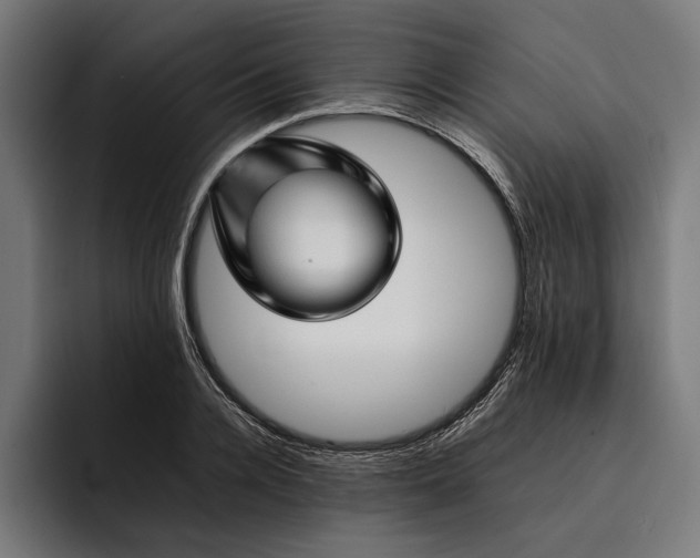 X0000092270936200710121338